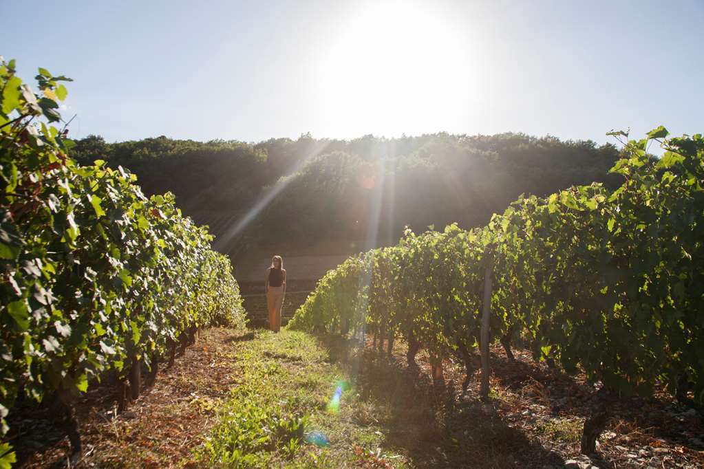 贝济耶东原生酒店 Villeneuve-lès-Béziers 外观 照片